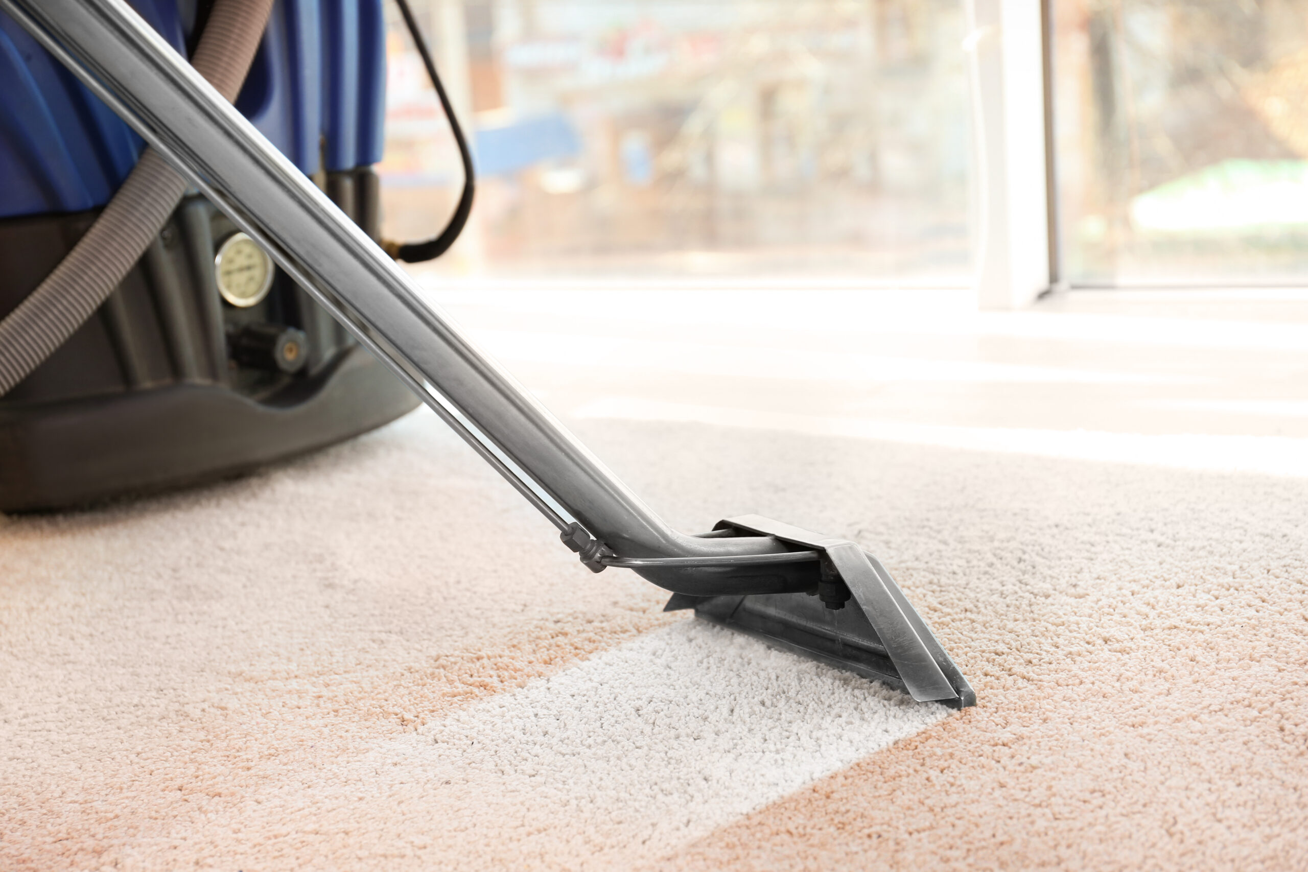 https://www.carpetcleaningexeter.com/wp-content/uploads/2025/09/AdobeStock_158099102-scaled.jpeg