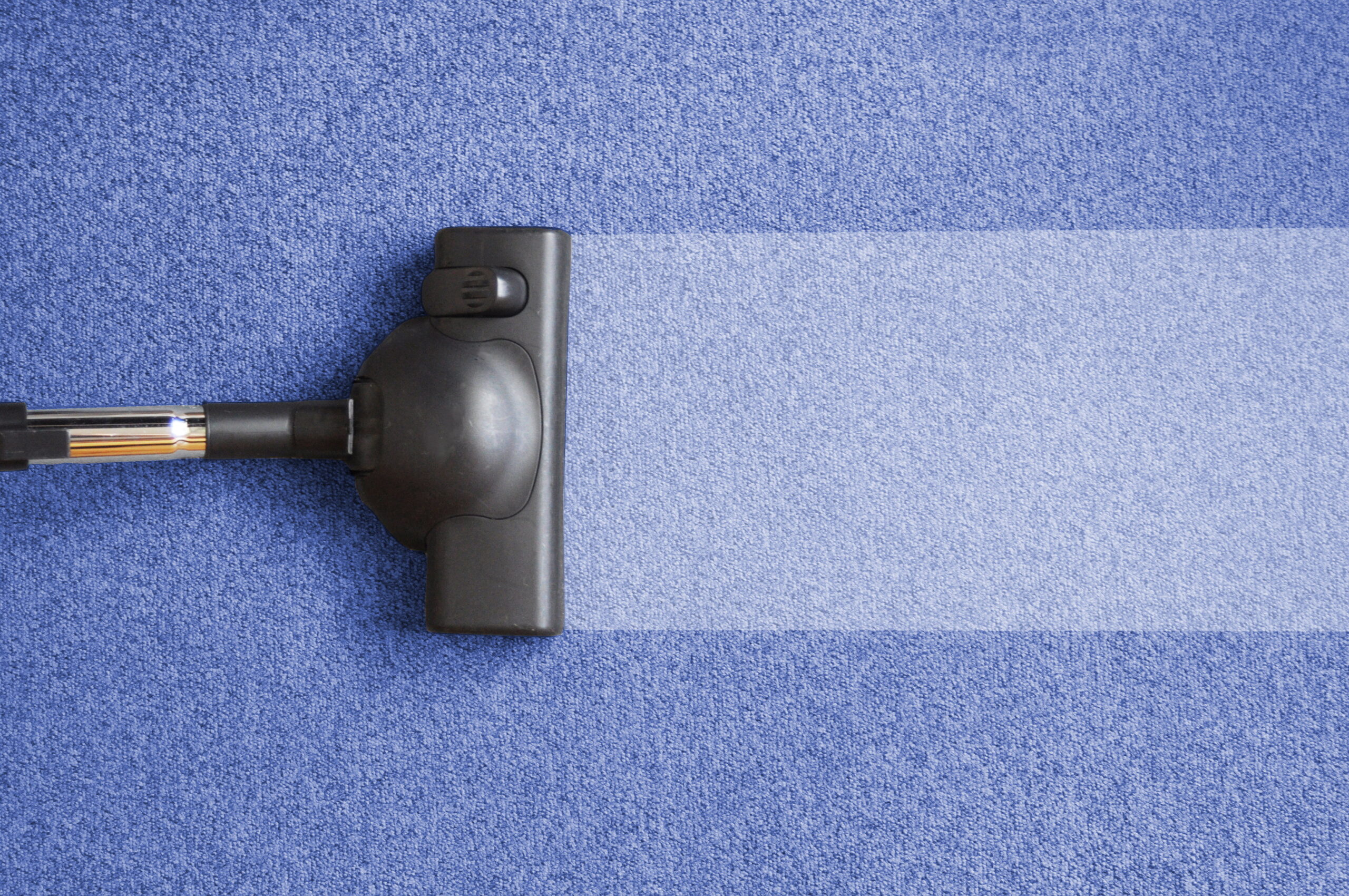 Carpet Cleaning Exeter