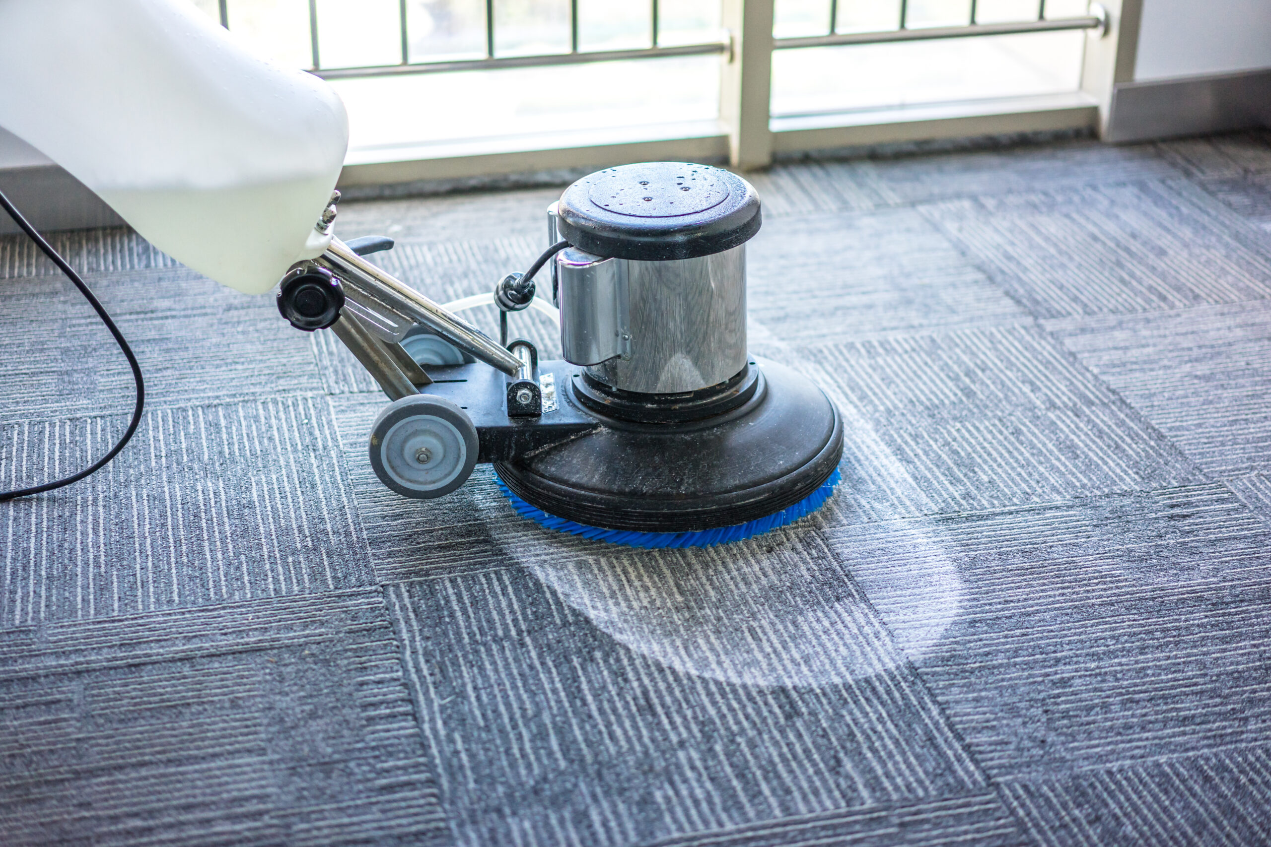 https://www.carpetcleaningexeter.com/wp-content/uploads/2025/09/AdobeStock_215233790-scaled.jpeg